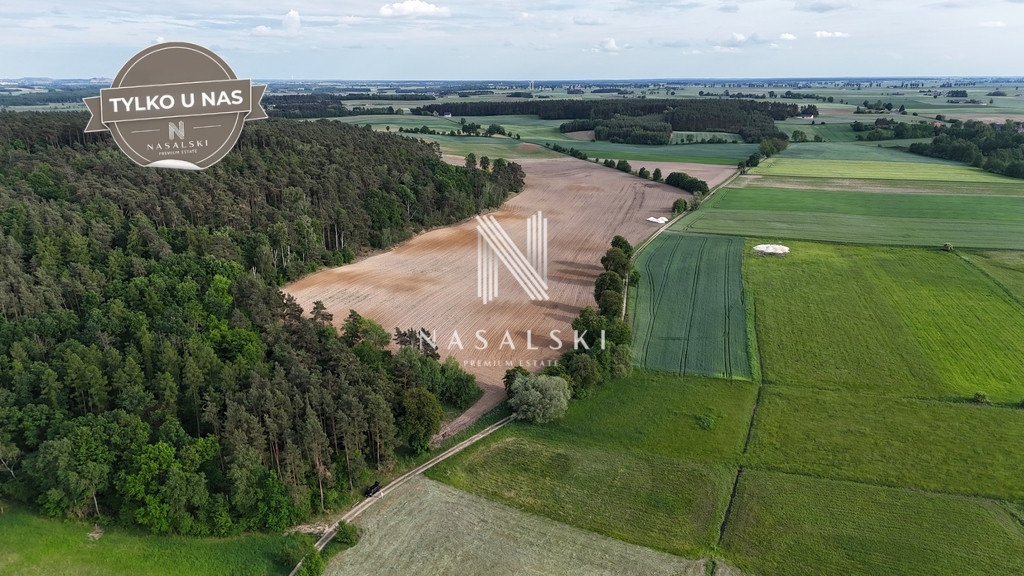 Działka Sprzedaż Jabłowo Pałuckie 6