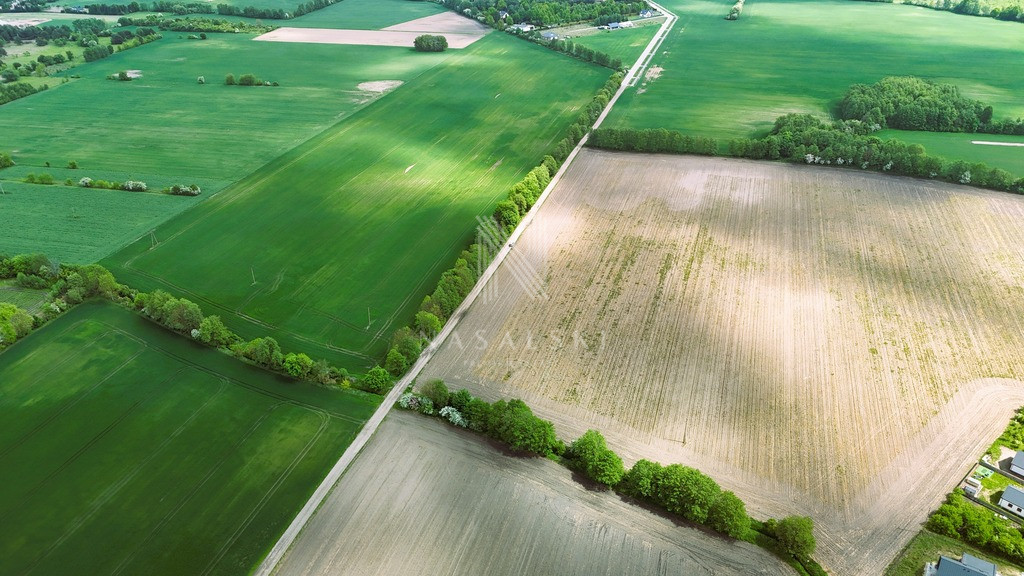 Działka Sprzedaż Żołędowo Polna 3