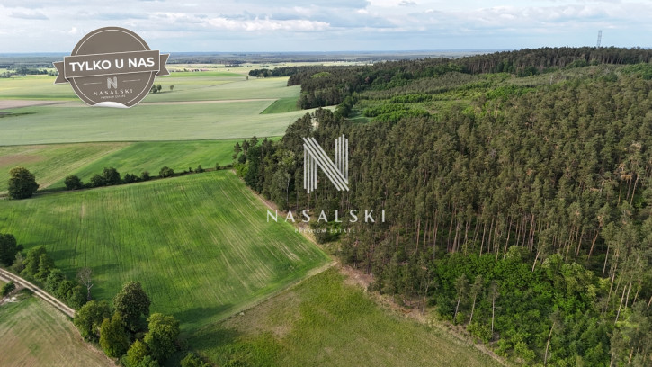 Działka Sprzedaż Jabłowo Pałuckie 5
