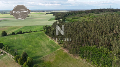 Działka Sprzedaż Jabłowo Pałuckie