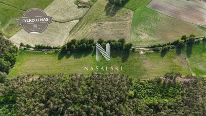 Działka Sprzedaż Jabłowo Pałuckie