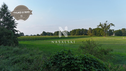 Działka Sprzedaż Nowe Dąbie